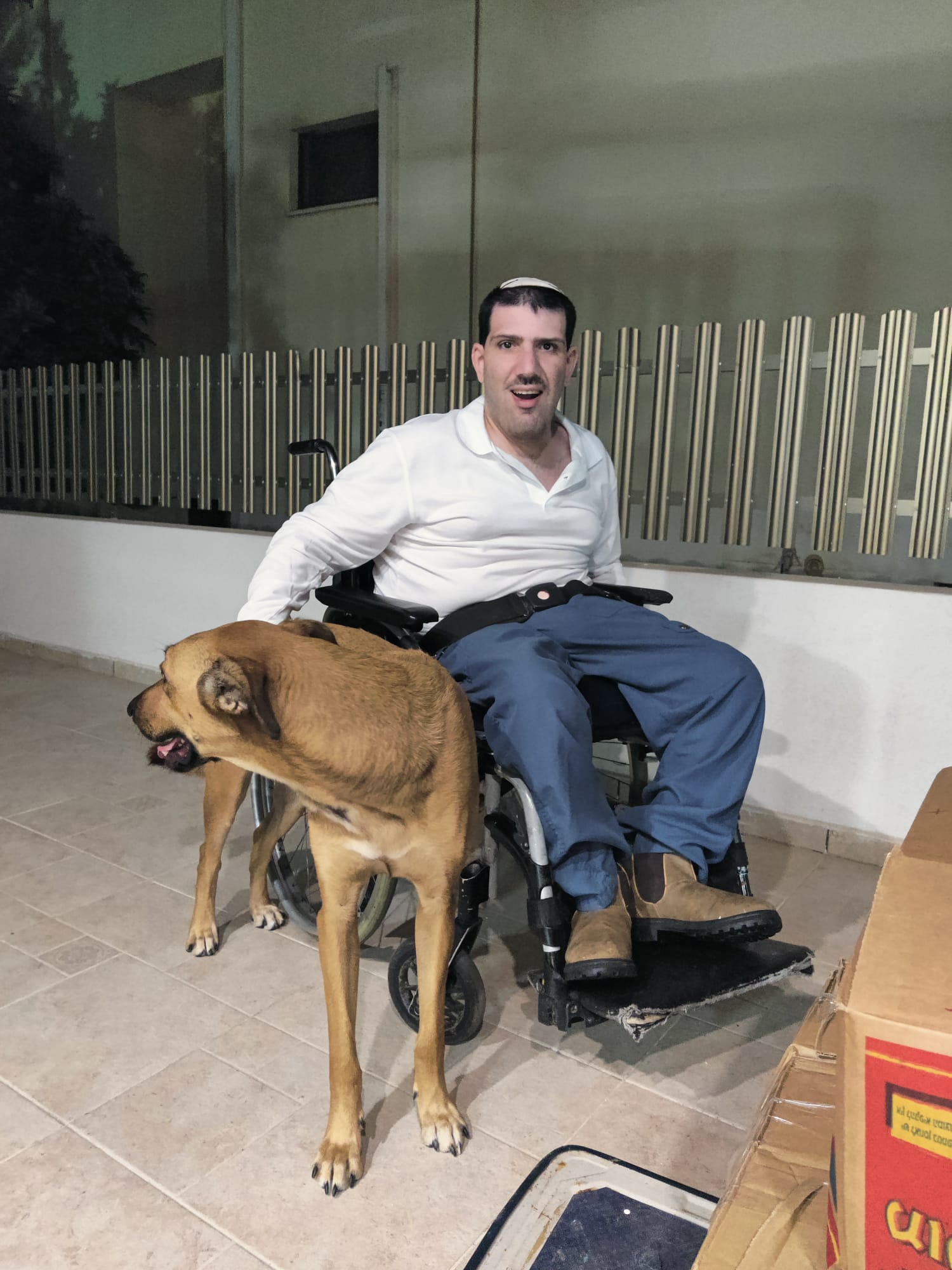 Young man in wheelchair with a dog בחור בכסא גלגלים עם כלב