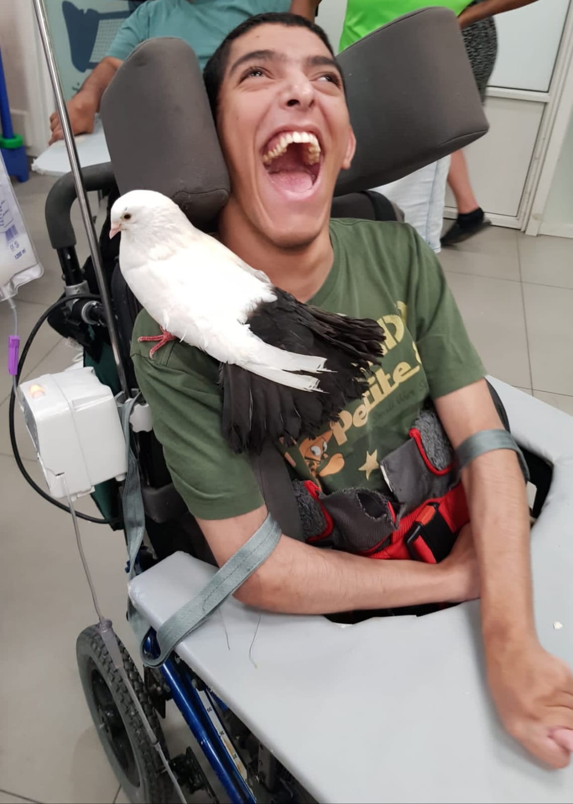 Bird on the shouler of a boy eith disabilites in a wheelchair ציפור על כתף של בחור עם מגבלויות בכא גלגלים