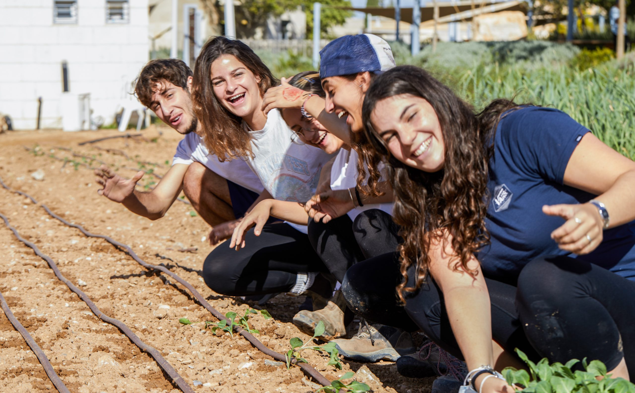 Group in the field planting plants קבוצה בשדה שותלים עציצים